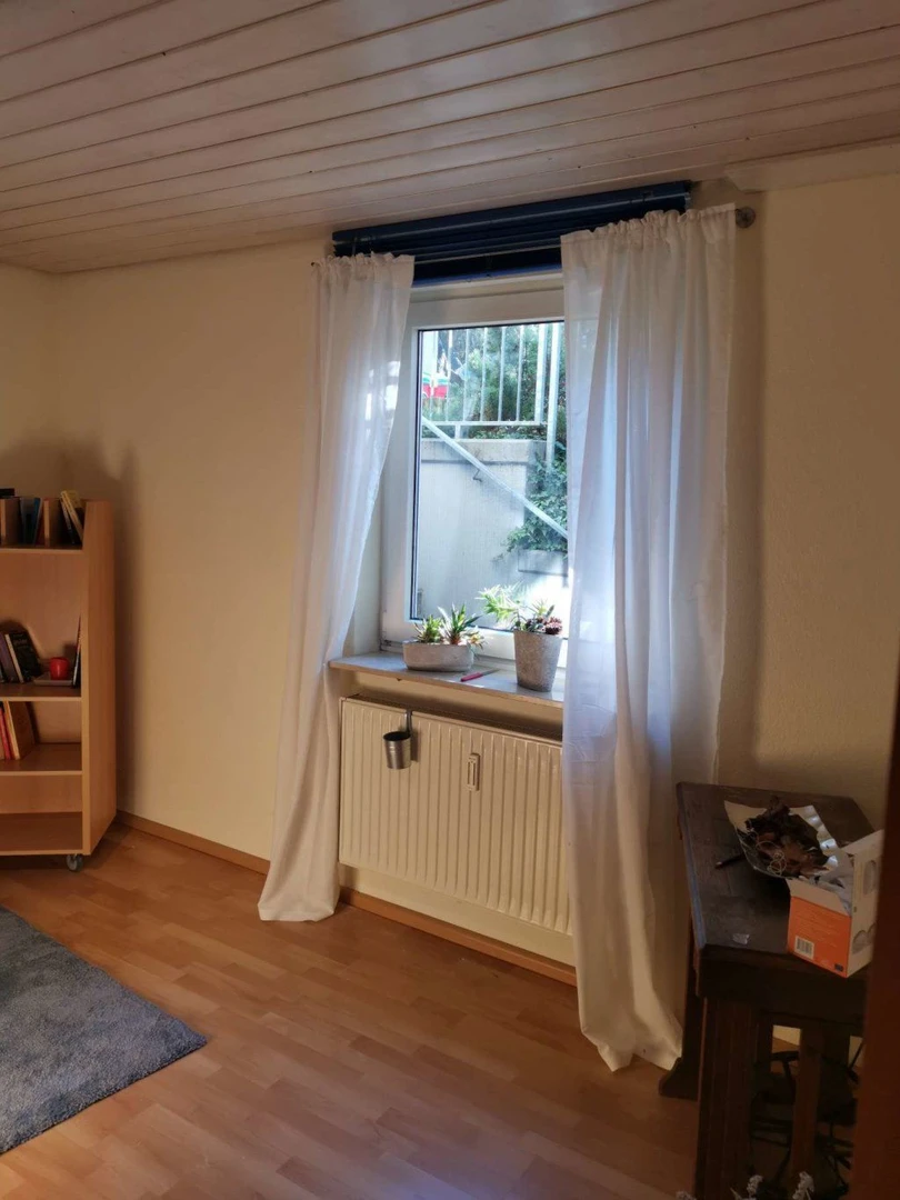 Renting rooms by the month in Mannheim