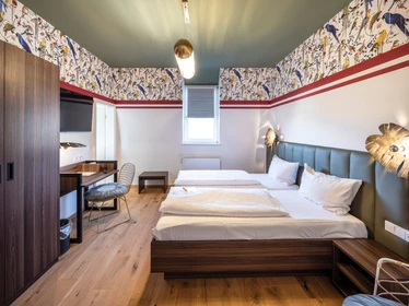 Cheap private room in Heidelberg