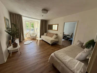 Privatzimmer in der Innstraße, bild 7 von 8
