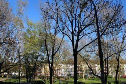 Entire apartment at Gneisenaustraße, image 22 of 23