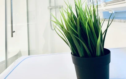 Apartamento inteiro em Sonnenweg, imagem 11 de 21