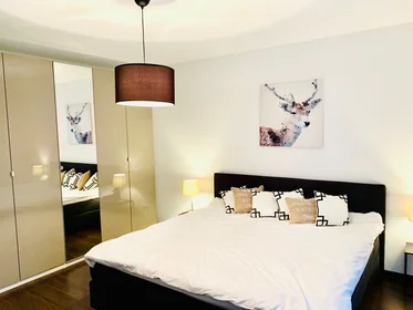 Apartamento inteiro em Sonnenweg, imagem 8 de 21