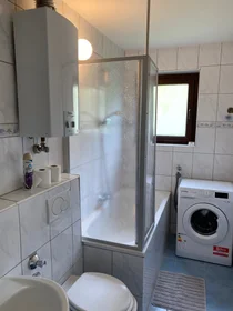Apartamento inteiro em Neue Fruchtstraße, imagem 29 de 33