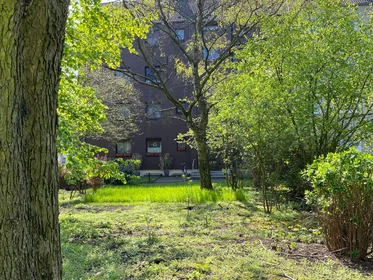 Entire apartment at Neue Fruchtstraße, image 32 of 33