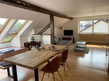 Alquiler de habitaciones por meses en Nurnberg