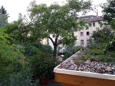 Gesamte Unterkunft in der Frühlingstraße, bild 24 von 26