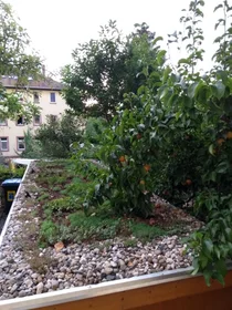 Gesamte Unterkunft in der Frühlingstraße, bild 25 von 26