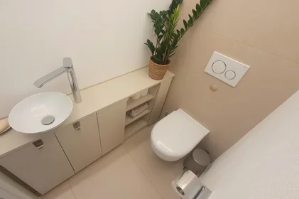 Stanza privata in Wörthstraße, immagine 26 di 38