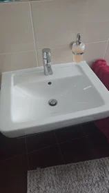 Gesamte Unterkunft in der Herloßsohnstraße, bild 23 von 38