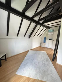 单间公寓 在 Frensdorffstraße, 18的图像12