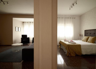 Appartamento in centro a Pavia