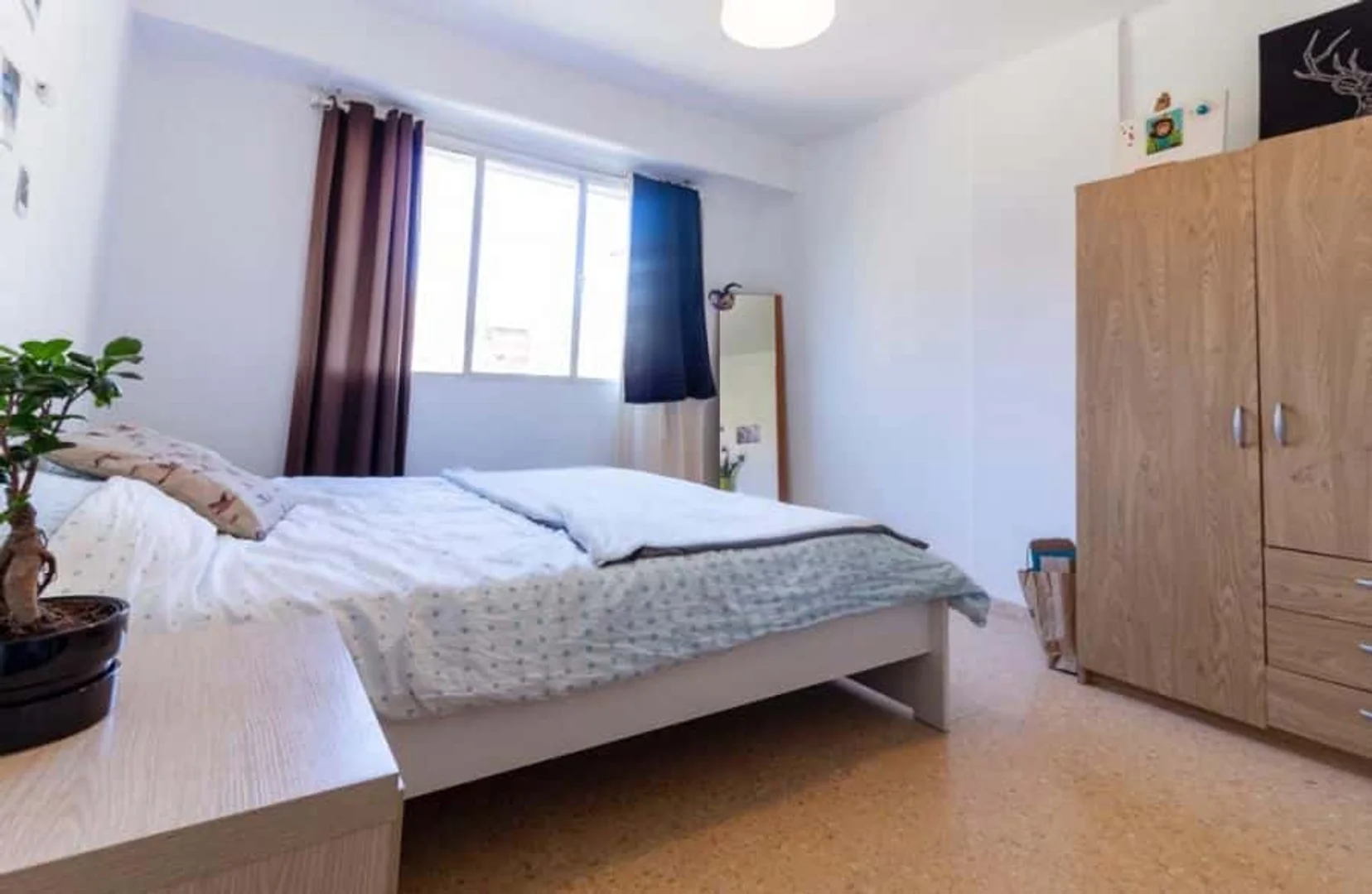 Chambre d'étudiant confortable et spacieuse dans 