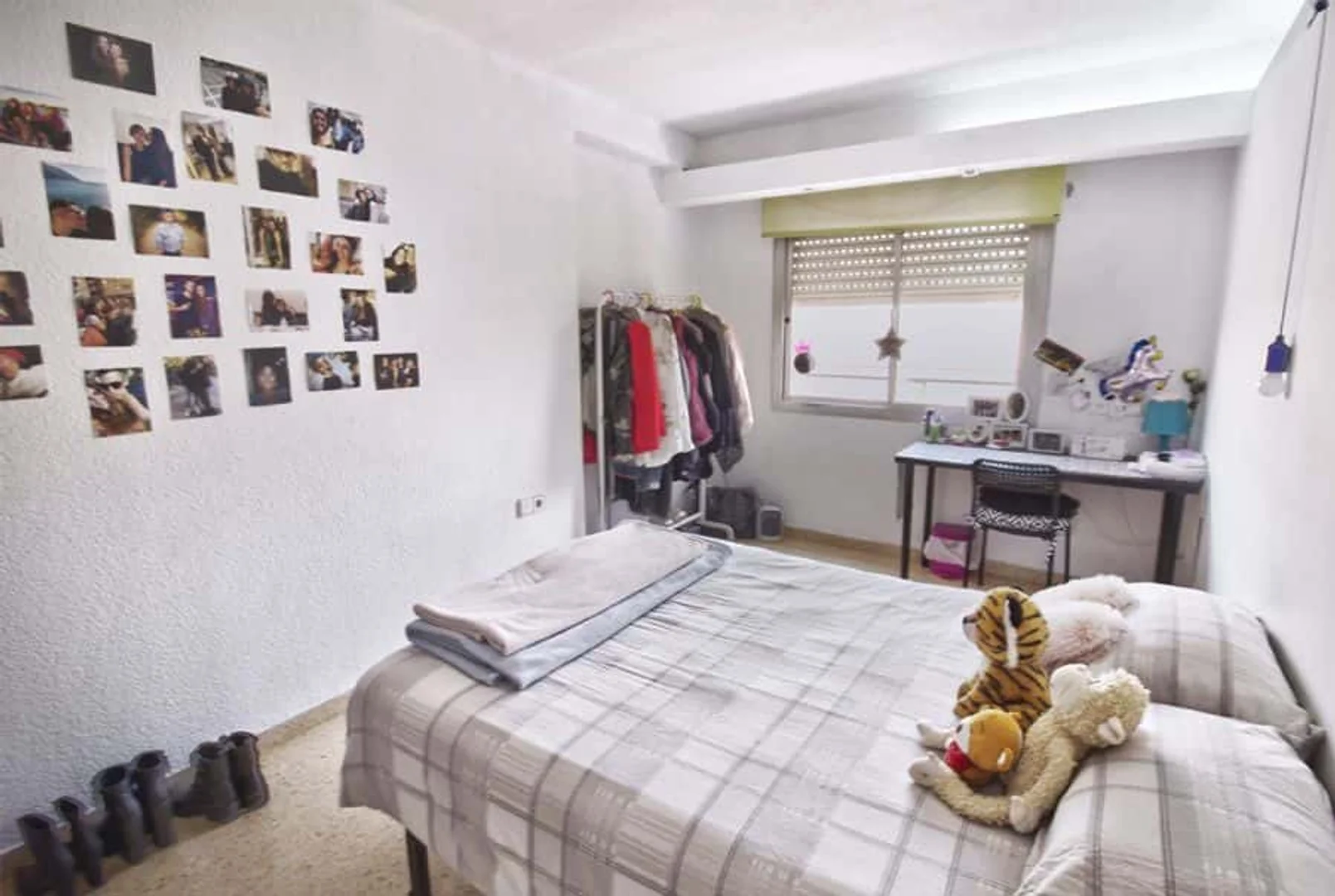 Camera accogliente per studenti disponibile a 