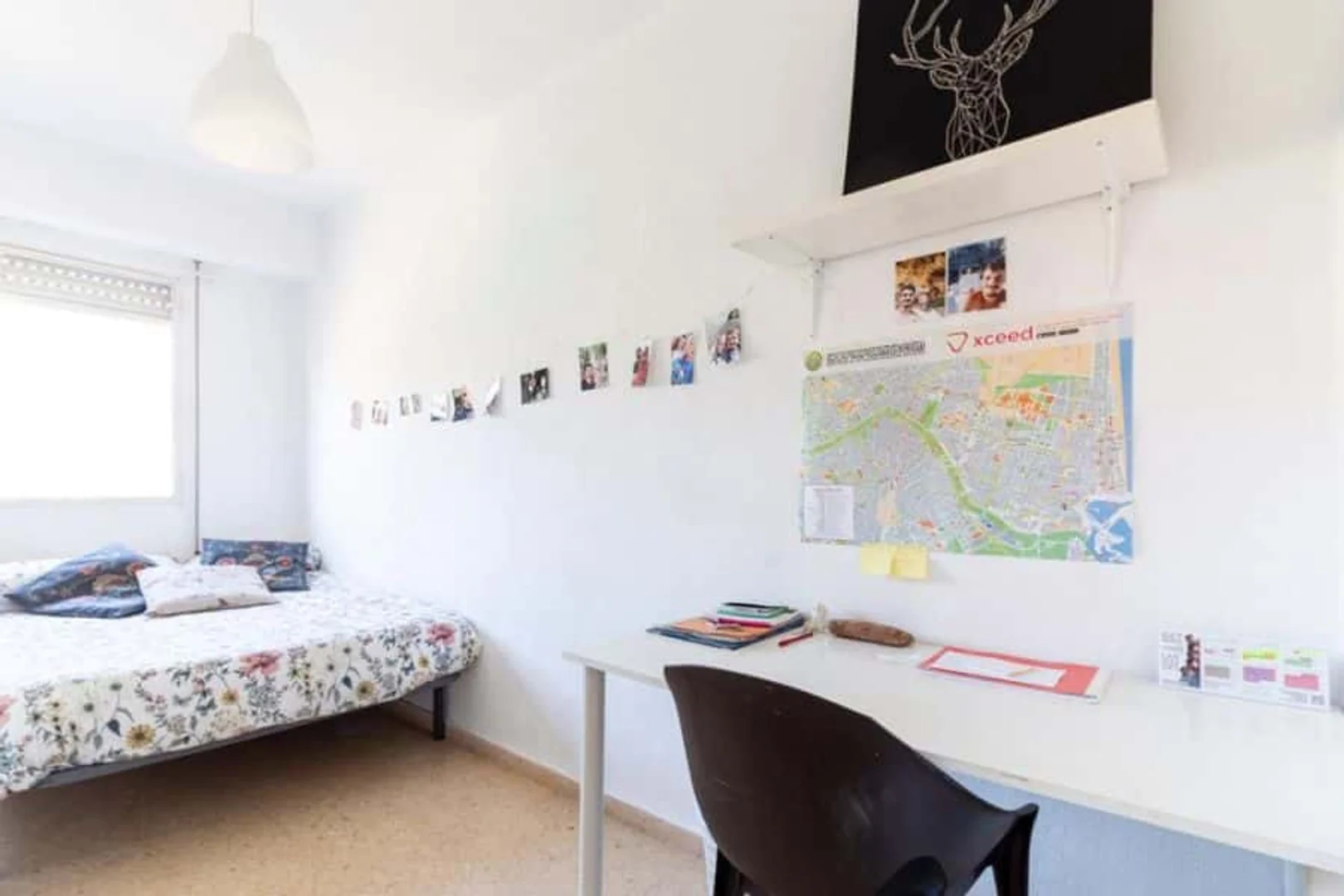 Camera per studenti in  con area studio e servizi in comune