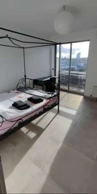Habitación en alquiler con cama doble liege