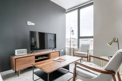 Entire apartment at West Washington Boulevard, West Loop, image 1 of 10