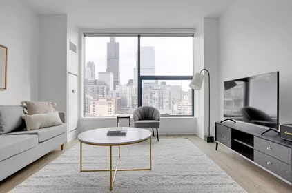 Appartamento intero in West Van Buren Street, West Loop, immagine 1 di 10