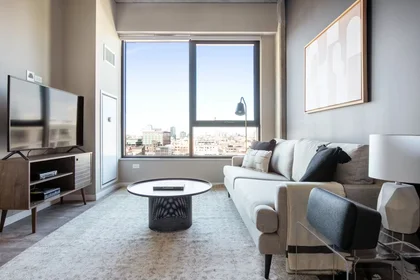 Entire apartment at West Washington Boulevard, West Loop, image 1 of 10