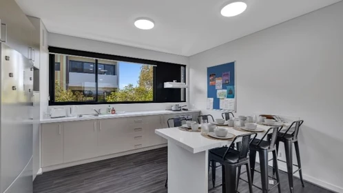 Luminoso monolocale in affitto a Sydney