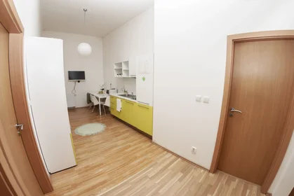 Stanza privata in Běhounská , immagine 2 di 11