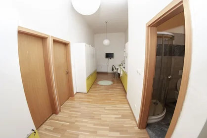 Stanza privata in Běhounská , immagine 4 di 11