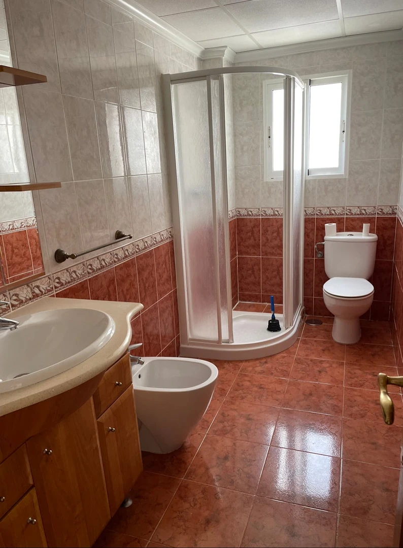 Room for rent in a shared flat in San Vicente Del Raspeig