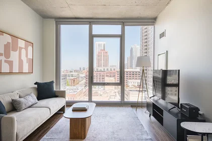 Appartamento intero in North Desplaines Street, West Loop, immagine 1 di 10