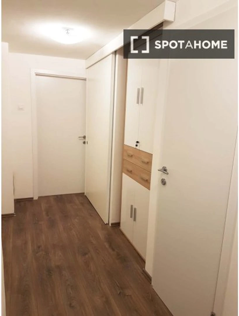 Accommodation with 3 bedrooms in Ljubljana