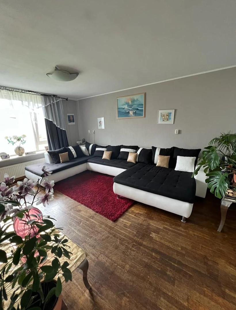 Alquiler de habitaciones por meses en Haarlem