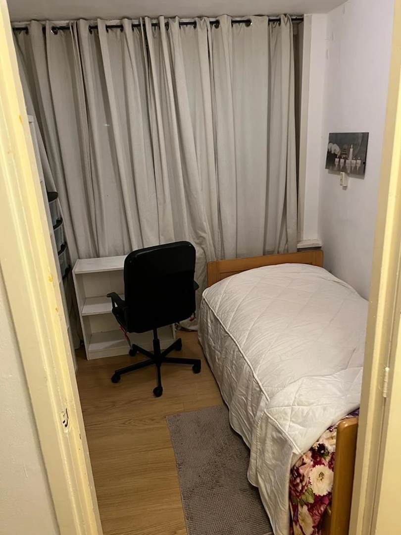 Renting rooms by the month in Haarlem
