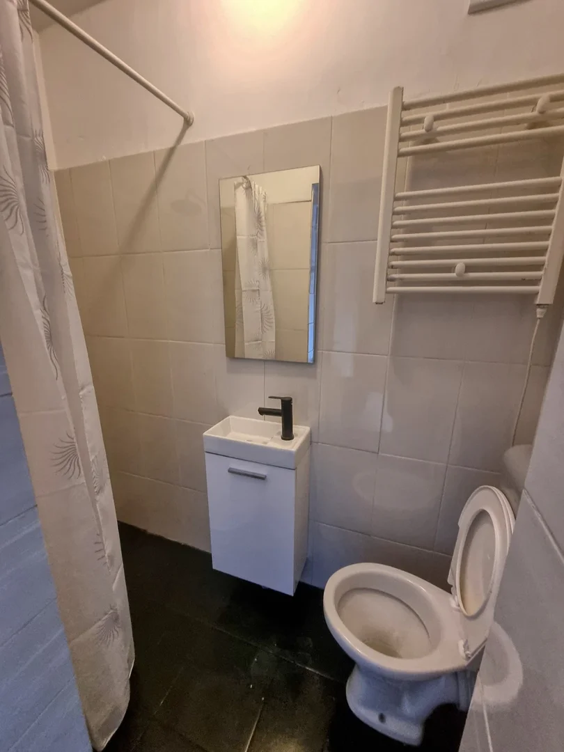 Affordable room for students with ample lighting in 