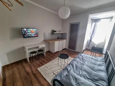 Habitación privada en ulitsa Budapeshta 80, imagen 5 de 20