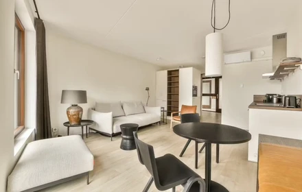 Appartement entièrement meublé à Delft