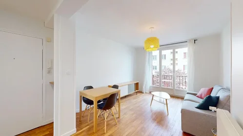 Entire apartment at Rue Charles Dumont, Chevreul-Parc, image 1 of 10