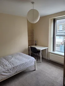 Privatzimmer in der Norfolk Street, Swansea, bild 2 von 10