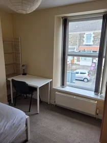 Privatzimmer in der Norfolk Street, Swansea, bild 9 von 10