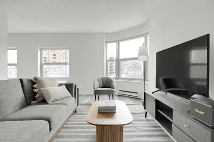 Logement entier à W Chestnut St, Near North Side, image 1 de 10