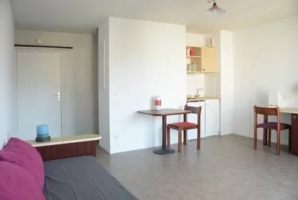 Private room in residence at Issy-les-Moulineaux, 92130, image 1 of 5