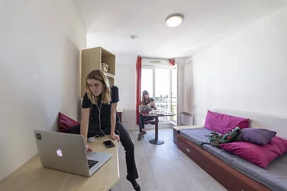 Private room in residence at Issy-les-Moulineaux, 92130, image 5 of 5