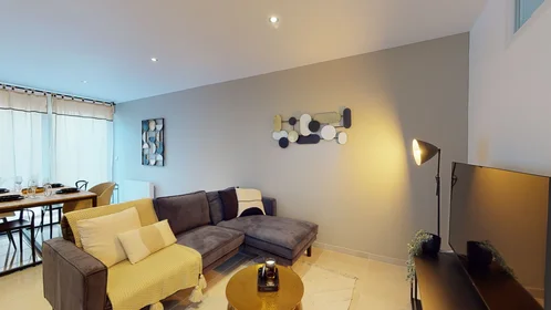Stanza privata in 83 rue Gaulthier de Rumilly, immagine 1 di 10