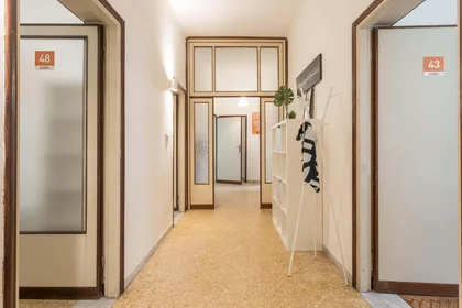 Stanza privata in Via Guglielmo Romiti, 4, 56125 Pisa PI, Italy, immagine 11 di 15
