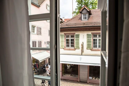 Appartamento completamente ristrutturato a Freiburg Im Breisgau