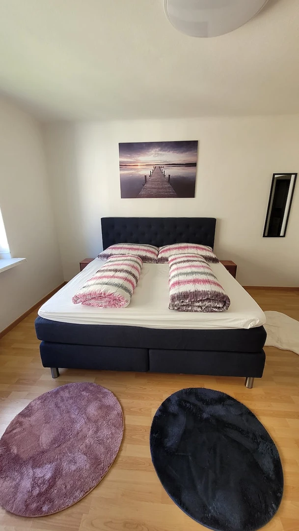 Alojamiento con 3 habitaciones en Graz