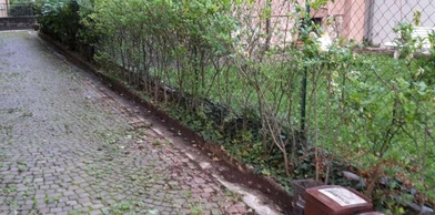Private room at Via Castelbarco, 18, 38122 Trento TN, Italia, image 22 of 22