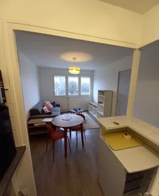 Habitación privada en Pau, 64000, imagen 1 de 6