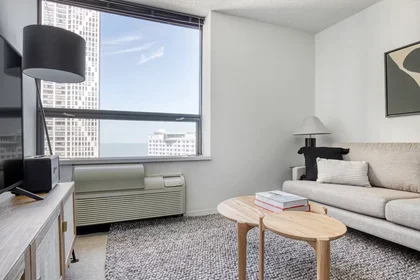 Appartamento intero in East Ohio Street, Streeterville, immagine 1 di 10