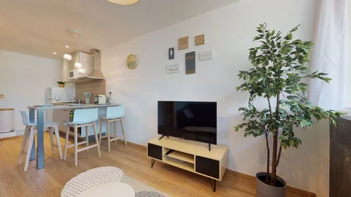 Quarto privado em 29 Rue Calvin/ 230 rue Coligny 2ème étage, imagem 1 de 10
