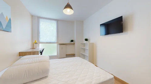 Quarto privado em 29 Rue Calvin/ 230 rue Coligny 2ème étage, imagem 11 de 14