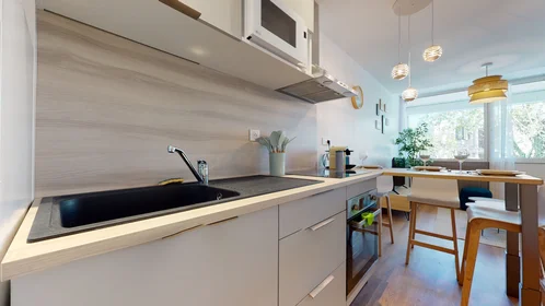 Quarto privado em 29 Rue Calvin/ 230 rue Coligny 2ème étage, imagem 7 de 14