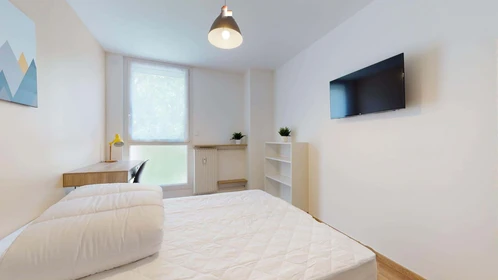 Private room at 230 Rue Calvin, 34080 Montpellier, France, image 3 of 14